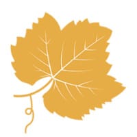 Champagne Terroir Avatar