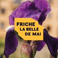Friche la belle de mai Avatar